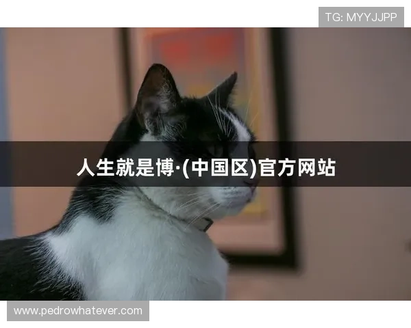 尊龙铠时 人生就是搏：用行动证明自己，勇敢迎接人生中的每一次挑战