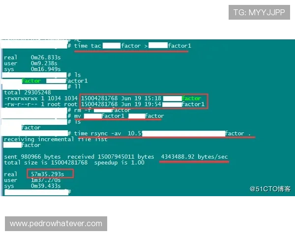 欧博线上登陆常见问题及解决方案全面解析