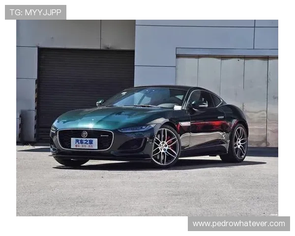 捷豹在线娱乐：多样化的游戏选择与创新玩法带来无限精彩的娱乐享受