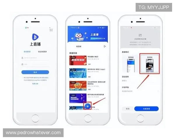 利用人民币进行娱乐消费：提升用户体验与促进文化产业发展的新机遇