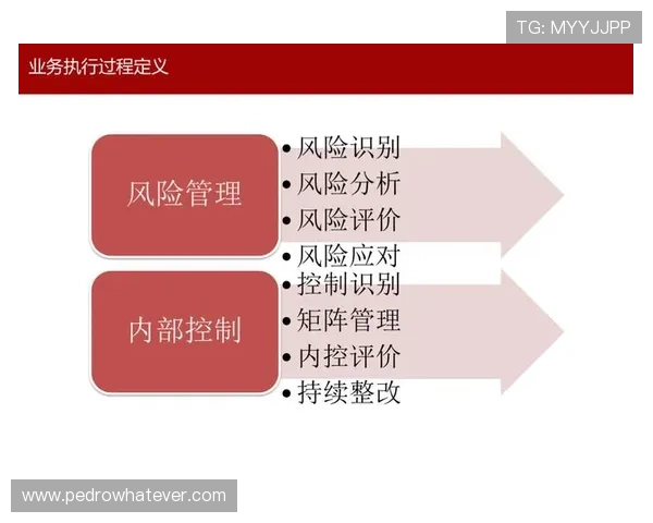 欧博代理平台安全保障措施与风险控制策略全面介绍