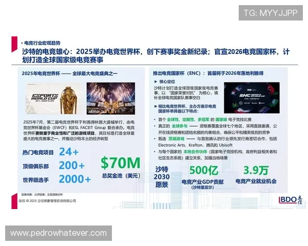 雷火竞技合作伙伴全面拓展，共同推动电竞产业的健康发展