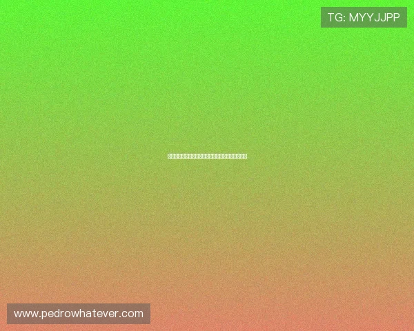 世界杯葡萄牙对乌兹别克斯坦比赛场地信息全景解析 世界杯葡萄牙对乌兹别克斯坦比赛场地信息全景解析